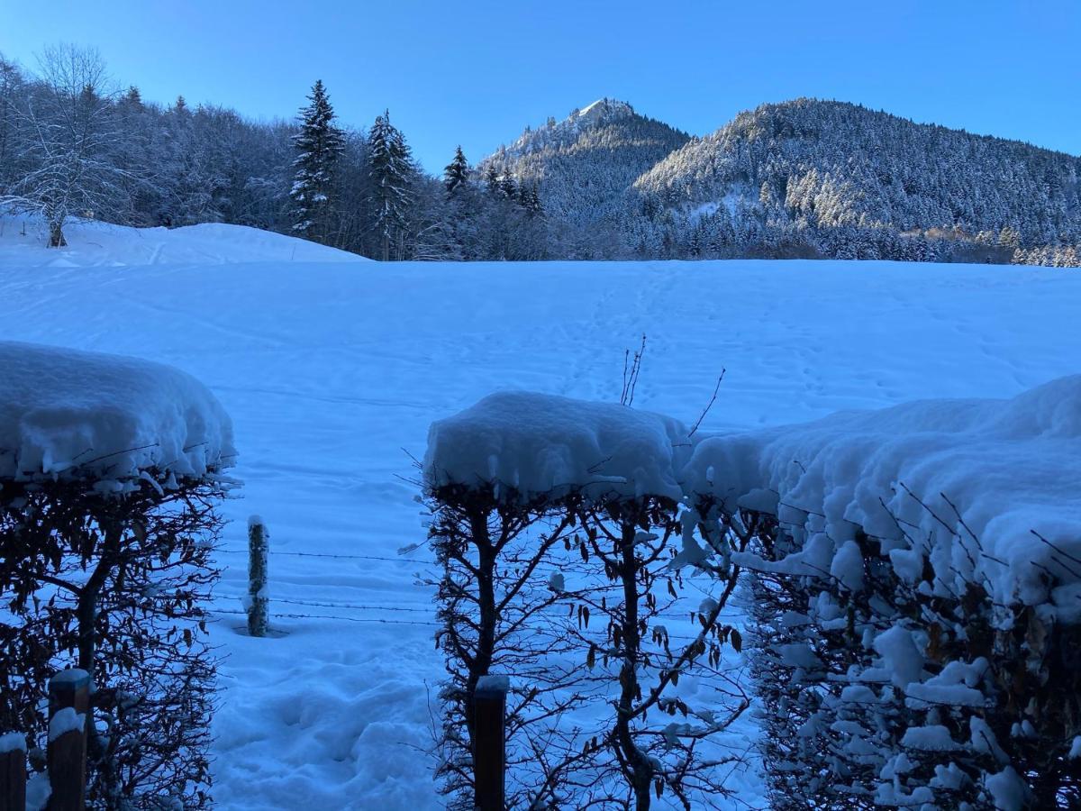 Appartement 2 Pieces Pieds Des Pistes Terrasse Face A La Montagne Bernex Zewnętrze zdjęcie