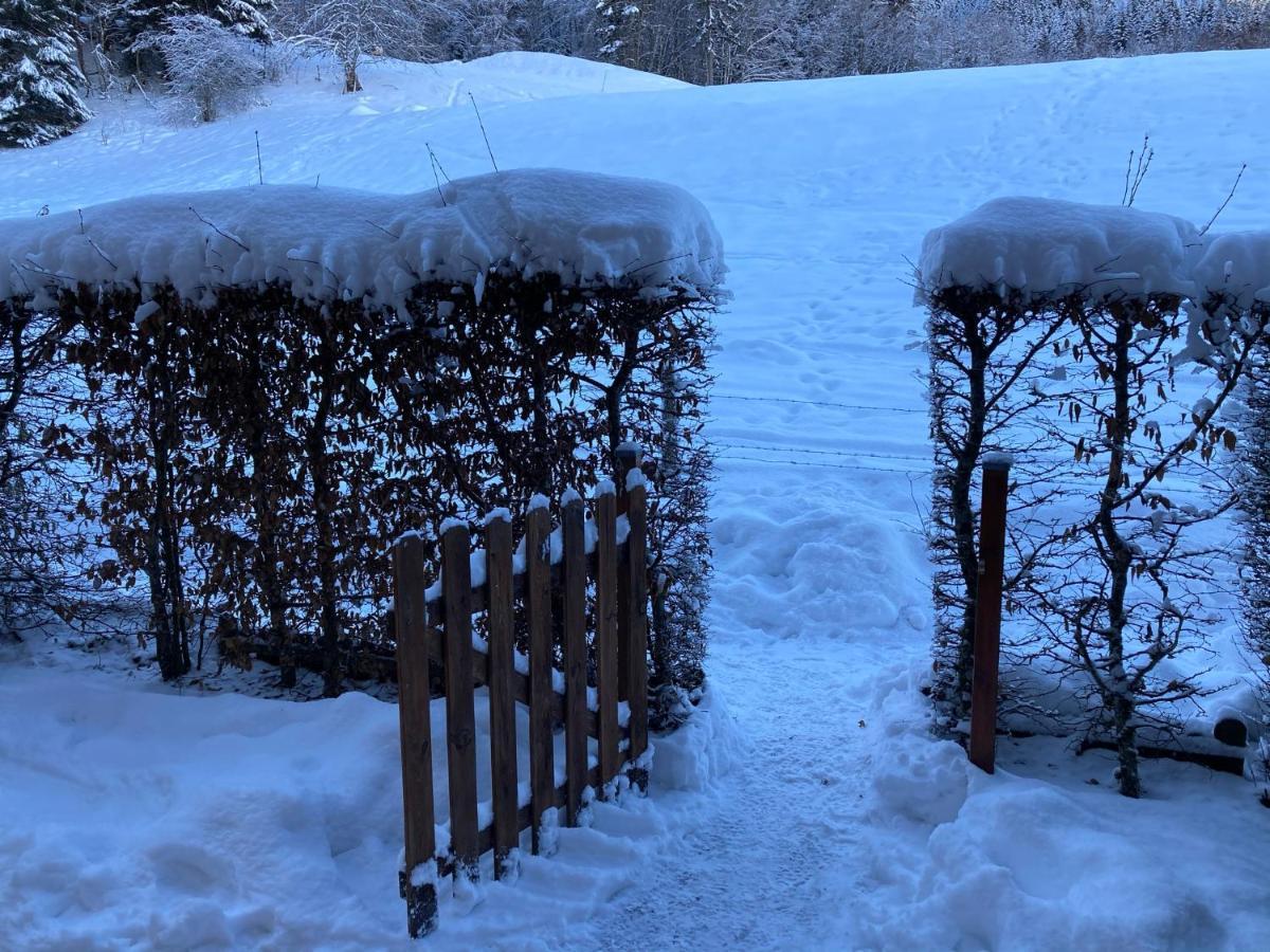 Appartement 2 Pieces Pieds Des Pistes Terrasse Face A La Montagne Bernex Zewnętrze zdjęcie